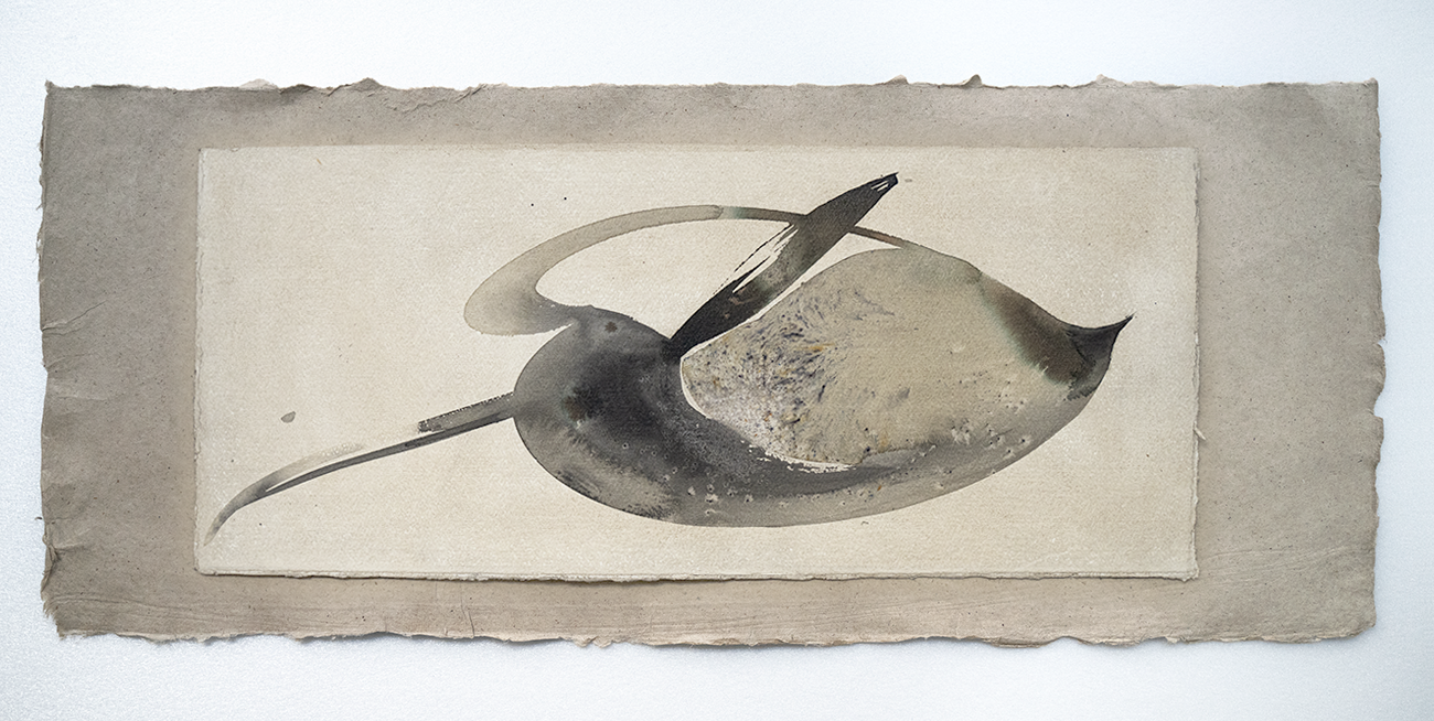 Foglie su Fogli 2 - view 2